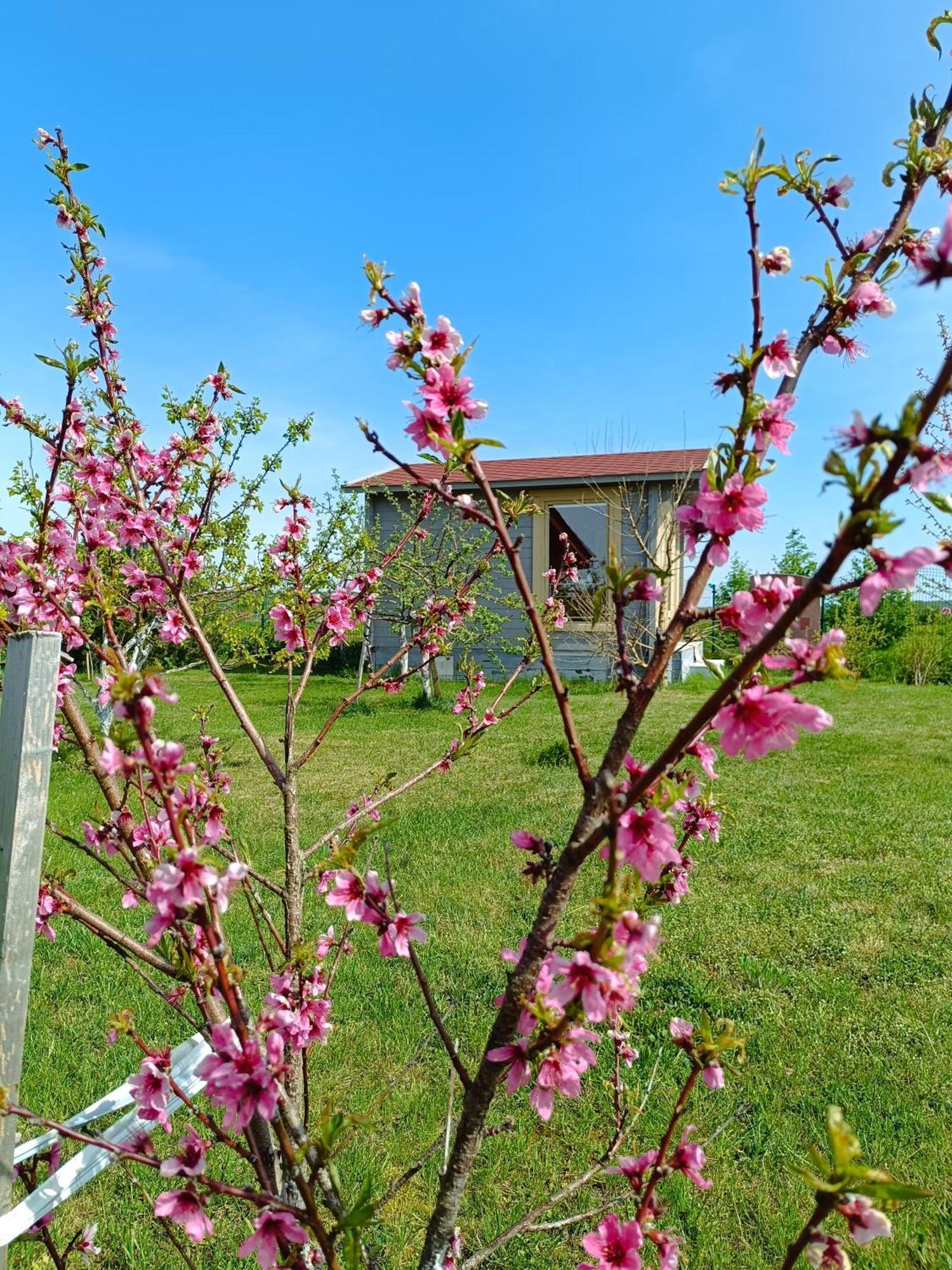 Villa Namelis Karkleje Esterno foto